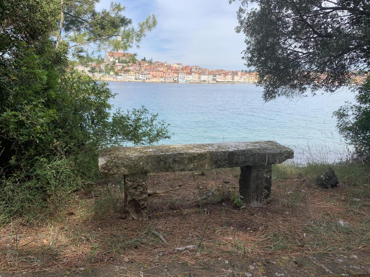 "Art House" Rovinj-Holiday, Holiday Home To Rent โรวินสโก เซโล ภายนอก รูปภาพ